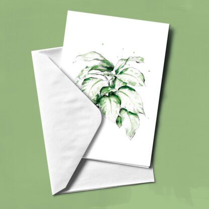 Pack plantas: 13 felicitaciones - Imagen 2
