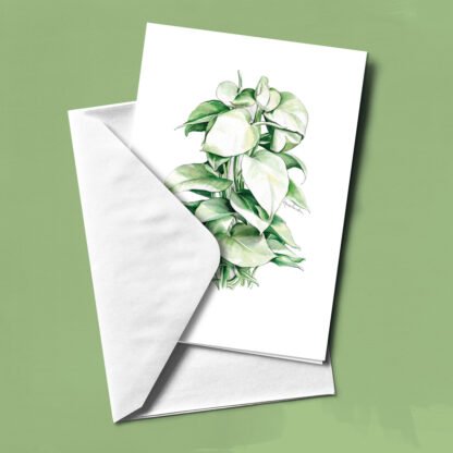 Pack plantas: 13 felicitaciones - Imagen 12