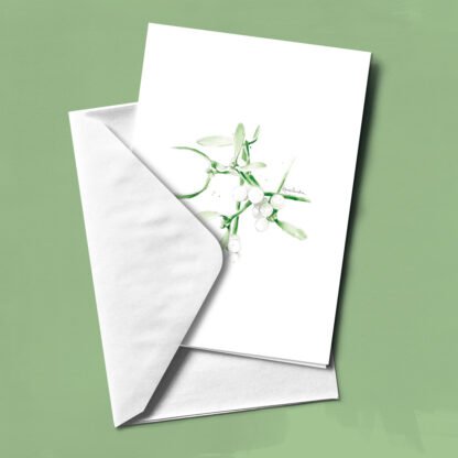 Pack plantas: 13 felicitaciones - Imagen 6