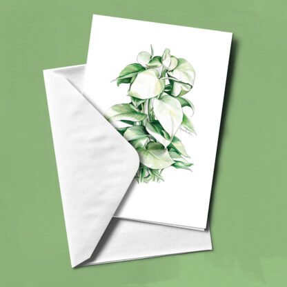 Pack plantas: 13 felicitaciones - Imagen 4