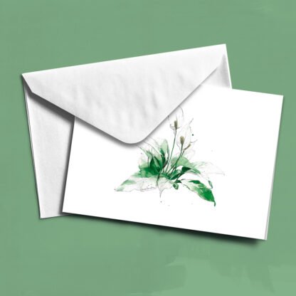 Pack plantas: 13 felicitaciones - Imagen 9